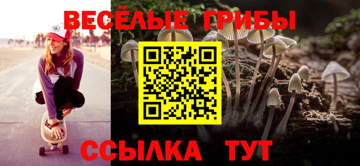 Галлюциногенные грибы ЛСД  Вход с VPN  Корсаков  где продают наркотики  Галлюциногенные грибы Cubensis 