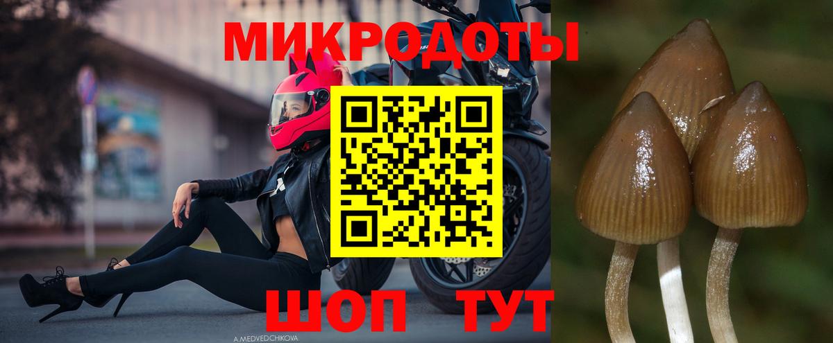 Галлюциногенные грибы Cubensis Корсаков